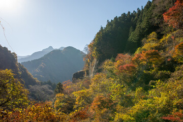 埼玉県秩父市で撮影した秋の山と紅葉、青空が広がる自然豊かな風景。色づく紅葉や森が山肌を彩り、清らかな空気と心地よい静けさが漂う。観光・旅行・アウトドアや秋のイメージ素材に最適な写真。

