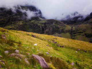 The lonely sheep in the foreground contrasts beautifully with the majestic and imposing mountain range, natures tranquil power is evident.