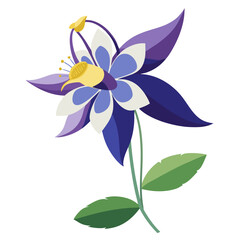 blue and white flower