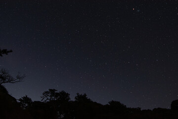 Fototapeta premium 神奈川県真鶴町の森で冬に撮影した星空。澄み切った夜空にオリオン座や無数の星が輝き、森や木々のシルエットが浮かび上がる静寂な風景。自然の美しさや癒しを感じる夜の空は、アウトドア・旅行・観光・ヒーリング・リラクゼーションなど多様なシーンに最適な素材です。