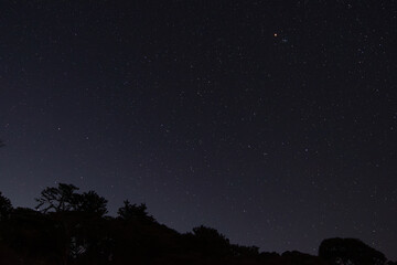 Fototapeta premium 神奈川県真鶴町の森で冬に撮影した星空。澄み切った夜空にオリオン座や無数の星が輝き、森や木々のシルエットが浮かび上がる静寂な風景。自然の美しさや癒しを感じる夜の空は、アウトドア・旅行・観光・ヒーリング・リラクゼーションなど多様なシーンに最適な素材です。