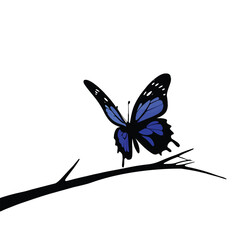 Fototapeta premium A Vibrant Blue Butterfly Perched on a Branch silhouette white background