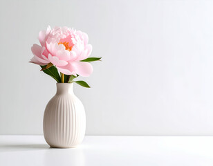 Obraz premium Pink Peony in White Vase on White Background