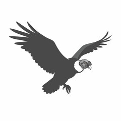 Obraz premium Independence Day in Peru illustrated with Andean condor soaring in flight. Independence Day in Peru celebrated with majestic bird, which symbolizes freedom.