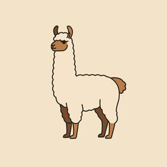 Fototapeta premium Adorable llama stands sideways in neutral studio setting. Sweet llama with fluffy white fur and brown markings showcases its whimsical design.