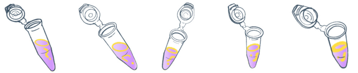 Hand-Drawn Microcentrifuge Tube Illustration Set &mdash; Cute purple and yellow liquid tubes with open caps, perfect for science lab graphics, biology or chemistry education, medical research presentations,