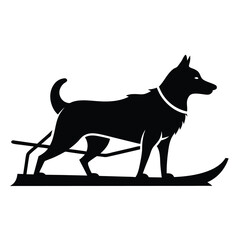 Sleek Silhouette of a Determined Sled Dog Standing Firmly on Skis Ready to Mush Through the Frozen Wilderness