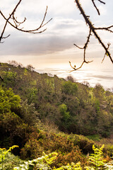 Paisaje en la Corujera, Isla de Tenerife.