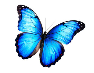 Beautiful blue butterfly in full body close-up portrait, flying with grace. Generativ  