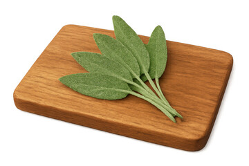 Sprig of fresh sage leaves sits on a wooden cutting board, ready for culinary use, against a transparent background