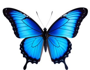 Beautiful blue butterfly in full body close-up portrait, flying with grace. Generativ  