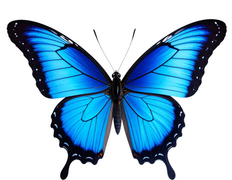 Beautiful blue butterfly in full body close-up portrait, flying with grace. Generativ