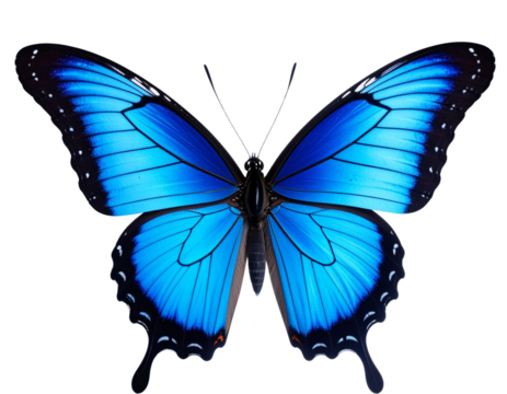 Beautiful blue butterfly in full body close-up portrait, flying with grace. Generativ - Powered by Adobe