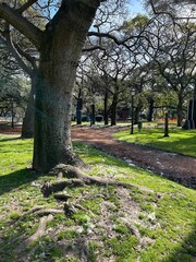 path in park, Buenos Aires, Argentina 