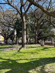 path in park, CABA, Buenos Aires, Argentina 