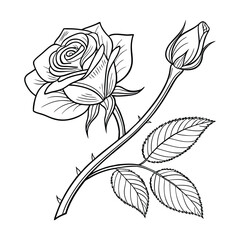 Printable Rose Coloring Page – Detailed Floral Line Art for Relaxation