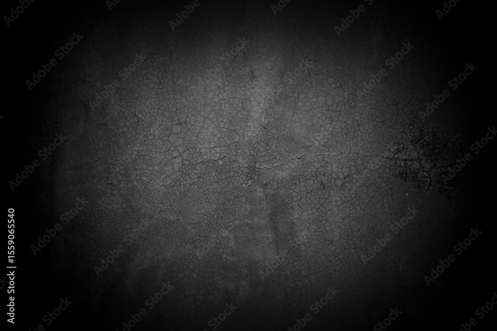 Poster abstract black and silver are light gray with white the gradient is the surface with templates metal texture soft lines tech diagonal background black dark sleek clean modern.
