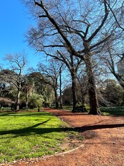path in the park, CABA, Buenos Aires, Argentina 