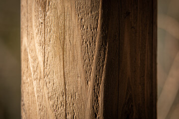 質感豊かな木製円柱の木目をクローズアップで撮影した写真。自然素材の温もりや木肌の風合いが感じられるテクスチャー画像で、建築やインテリア、背景素材として幅広く活用可能。木造建築や家具デザイン、DIYやクラフトなどにも最適な木材の表情。

