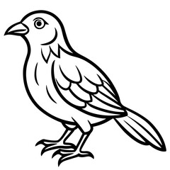 Fototapeta premium Simple Weaver Bird Monoline Artwork