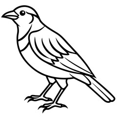 Fototapeta premium Simple Weaver Bird Monoline Artwork