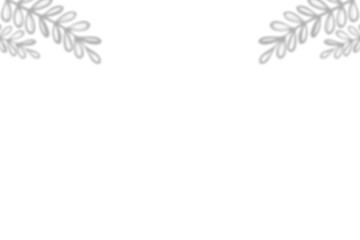 Obraz premium shadow Simple, light gray, stylized plant sprigs adorn a white background.