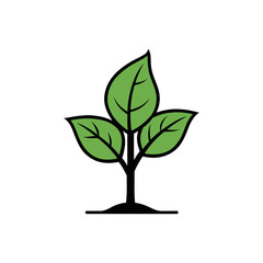 Plant growing logo, tree with green leaves, Evolution concept, plant logo, Sprout, tree growing agriculture icons log