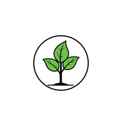 Logo of growing plant,  Green tree logo icon
