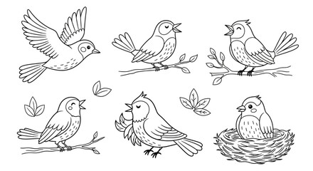 Fototapeta premium Adorable Bird Illustrations Six Cute Line Art Drawings for Coloring Pages, Crafts, and Designs