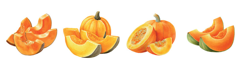 Watercolor set of pumpkins png. Orange whole pumpkins and sliced ​​with seeds inside. Autumn farm and village harvest. Autumn seasonal food. Elements for harvest, Thanksgiving, Halloween, etc.