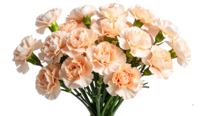 Single-Color Carnation Bouquet in Soft Peach Tone, Isolated on Transparent Background