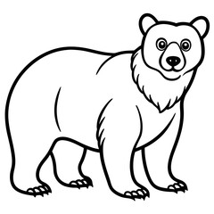 Spectacled Bear Line Vector White Ink Style