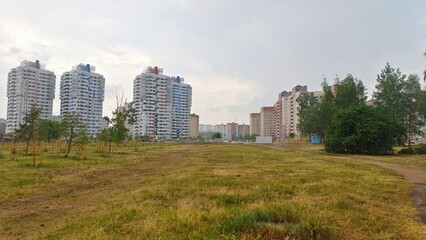 Fototapeta premium Trees grow on a lawn with a walking path and sun-baked grass. Behind them is a city street with buildings, traffic lights and parked cars. Cloudy summer weather and it's raining