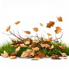 Brown and Green Autumn Leaves on Grass