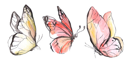 red and yellow butterfly