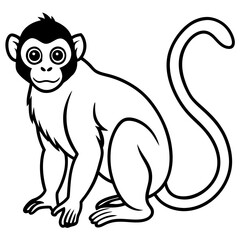 Spider Monkey Outline Design