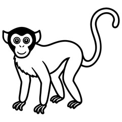 Spider Monkey Outline Design