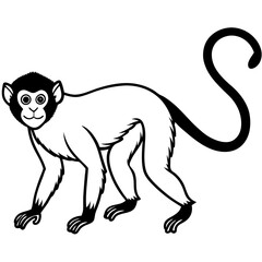 Spider Monkey Outline Design