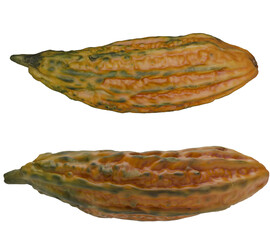 3d render of two karela bitter melon fruits in different angles on transparent background, exotic tropical vegetable with realistic wrinkled surface texture