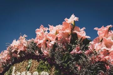Commercial Silleta, flower fair in the city of Medellin – Colombia 