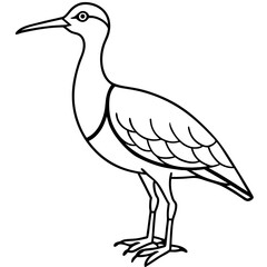 Whimbrel Bird Contour Art in Vector Style