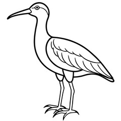 Whimbrel Bird Contour Art in Vector Style