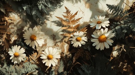 Close-up of wild daisies surrounded by shadowed fern and bark pieces in tones of earth brown sage and ivory