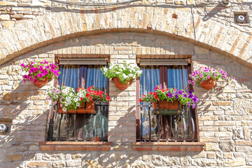 Vibrant Flowers Adorning Rustic Brick Building
