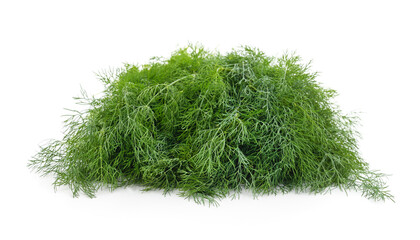 A bunch of fresh dill.