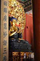 Buddha in chinese temple