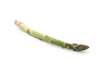 One fresh raw asparagus spear isolated on white