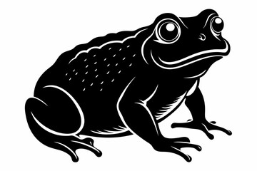 american toad sihouette black vector