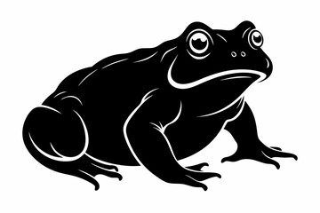 american toad sihouette black vector