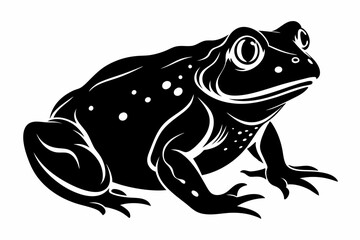 american toad sihouette black vector